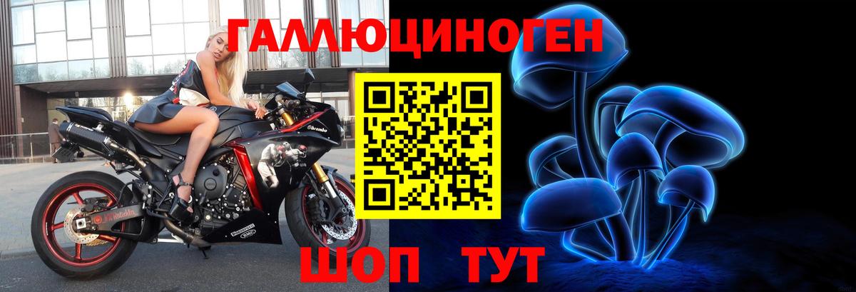 Галлюциногенные грибы Psilocybine cubensis Михайловск